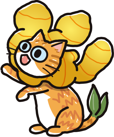 生姜猫 ひろちゃん
