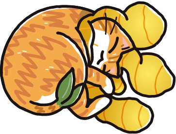生姜猫 ひろちゃん