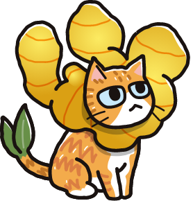 生姜猫 ひろちゃん